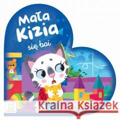 Mała Kizia się boi. Maluch nazywa emocje Sylwia Kajdana 9788382132205