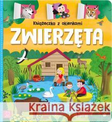 Książeczka z okienkami. Zwierzęta Agnieszka Bator 9788382132632