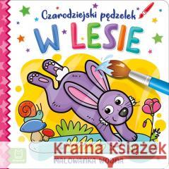 Czarodziejski pędzelek. W lesie. Malowanka wodna Sylwia Kajdana 9788382133257