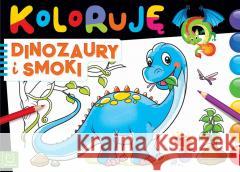 Koloruję dinozaury i smoki Sylwia Kajdana 9788382133660