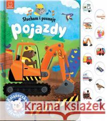 Słucham i poznaję. Pojazdy. Książeczka z dźwiękami Grażyna Wasilewicz 9788382134124