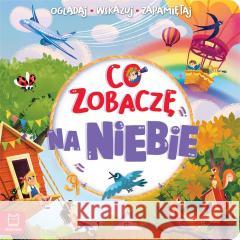 Co zobaczę na niebie. Oglądaj, wskazuj, zapamiętuj Sylwia Kajdana 9788382134261