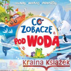 Co zobaczę pod wodą. Oglądaj, wskazuj, zapamiętuj Sylwia Kajdana 9788382134278