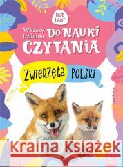 Wyrazy i zdania do nauki czytania Zwierzęta Polski Agata Kaczyńska 9788382134476