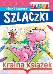 Piszę i koloruję. Szlaczki. Edukacyjne malowanki Agnieszka Bator 9788382135305