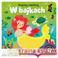 Poznaj i dotknij W bajkach Książeczka sensoryczna WASILEWICZ GRAŻYNA 9788382137224