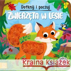 Dotknij i poczuj. Zwierzęta w lesie Grażyna Wasilewicz 9788382137651
