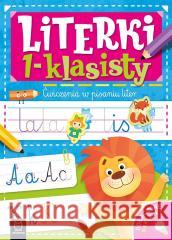 Literki 1-klasisty. Ćwiczenia w pisaniu liter Agnieszka Bator 9788382138511