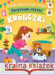 Zaczynam czytać. Duże litery. Pierwsze zdania Agnieszka Bator 9788382138542