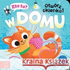 Kto to? Otwórz okienko! W domu Katarzyna Łanocha 9788382138931