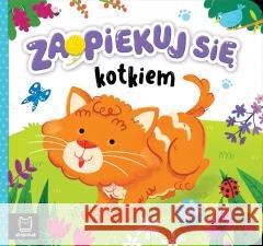 Zaopiekuj się kotkiem Katarzyna Łanocha 9788382139624