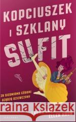 Kopciuszek i szklany sufit Laura Lane , Ellen Haun 9788382152371