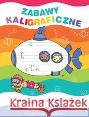 Zabawy kaligraficzne. Książeczka z naklejkami Elżbieta Lekan , Joanna Myjak 9788382160093