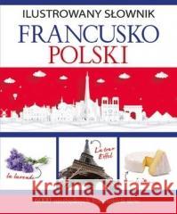 Ilustrowany słownik francusko-polski Tadeusz Woźniak 9788382161380