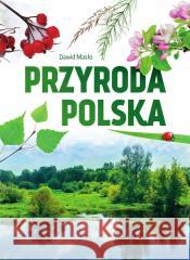 Przyroda polska Dawid Masło 9788382226072