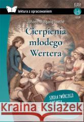 Cierpienia młodego Wertera z opracowaniem TW Johann Wolfgang Goethe 9788382226683