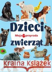 Moja przyroda. Dzieci zwierząt Anna Paszkiewicz 9788382227406