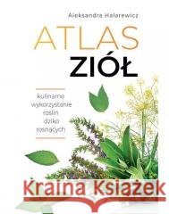 Atlas ziół Aleksandra Halarewicz 9788382227987