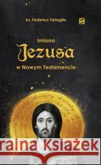 Imiona Jezusa w Nowym Testamencie Olga Płaszczewska 9788382240825