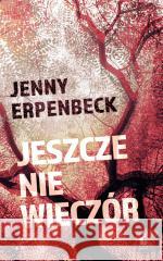 Jeszcze nie wieczór Erpenbeck Jenny 9788382300611