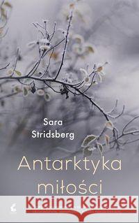 Antarktyka miłości Stridsberg Sara 9788382300840