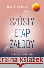 Szósty etap żałoby. W poszukiwaniu sensu KESSLER DAVID 9788382310313