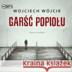 Garść popiołu audiobook 2CD Wojciech Wójcik 9788382332315