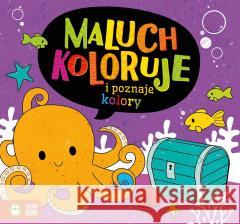 Maluch koloruje i poznaje kolory praca zbiorowa 9788382403428