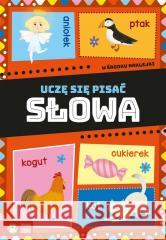 Uczę się pisać. Słowa brak autora, Magda Malicka 9788382405187