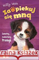 Zaopiekuj się mną. Samotny, niekochany Promyk Holly Webb, Sophy Williams, Patryk Dobrowolski 9788382409222