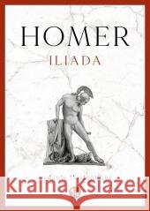 Iliada. Wydanie ilustrowane Homer 9788382410563