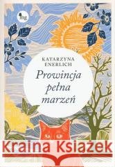 Prowincja pełna marzeń Katarzyna Enerlich 9788382411331