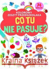 Kolorowy zeszyt przedszkolaka. Co tu nie pasuje praca zbiorowa 9788382490169