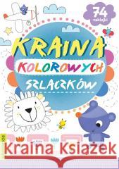 Kraina kolorowych szlaczków praca zbiorowa 9788382491579