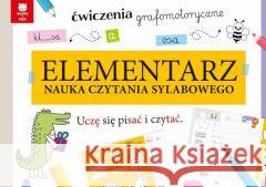 Elementarz Nauka czytania sylabowego praca zbiorowa 9788382494594