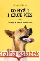 Co myśli i czuje pies w.2 Gregory Berns, Paweł Luboński 9788382525588