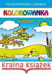 Kolorowanka Wiosna Beata Guzowska 9788382600582