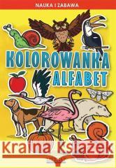 Kolorowanka alfabet Krzysztof Tonder 9788382602951