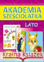 Akademia przedszkolaka. Lato + naklejki Beata Guzowska 9788382603729