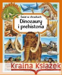 Świat w obrazkach. Dinozaury i prehistoria Emilie Beaumont 9788382626070