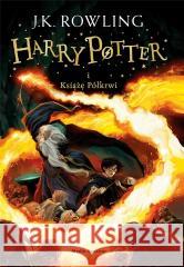 Harry Potter 6 Książę Półkrwi BR w.2023 Joanne K. Rowling, Jonny Duddle 9788382654516