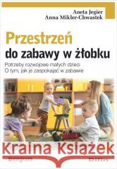 Przestrzeń do zabawy w żłobku Aneta Jegier Anna Mikler-Chwastek 9788382702941