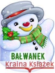 Bałwanek Krzysztof Żywczak, Blanka Olasik 9788382744910