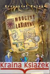 Mroczny labirynt Krzysztof Petek 9788382795967