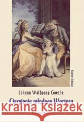 Cierpienia młodego Wertera Johann Wolfgang Goethe 9788382797145