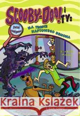 Scooby-Doo! i Ty T.10 Na tropie Naftowego Demona Jesse Leon McCann 9788382798036