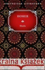 Iliada Homer 9788382891065