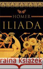 Iliada pocket Homer 9788382894882