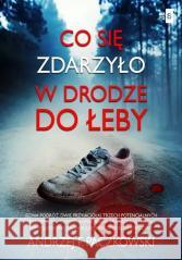 Co się zdarzyło w drodze do Łeby Andrzej F. Paczkowski 9788382907599