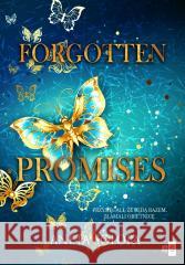 Forgotten Promises Aneta Sołopa 9788382908763